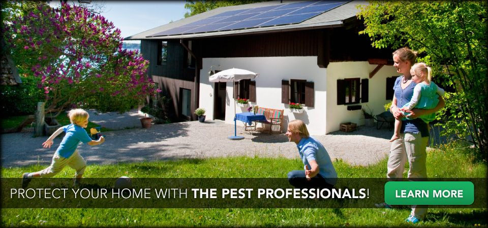 Protect you home with the pest professionals! Learn More | Family playing in yard